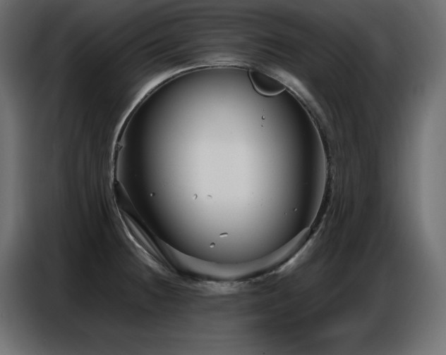 X0000086741236200704131121