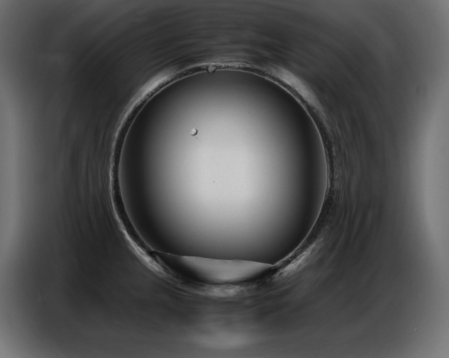 X0000086741237200704131121