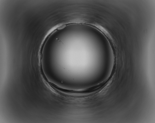 X0000086741238200704131121