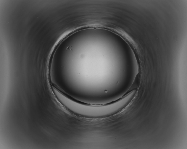 X0000086741240200704131121