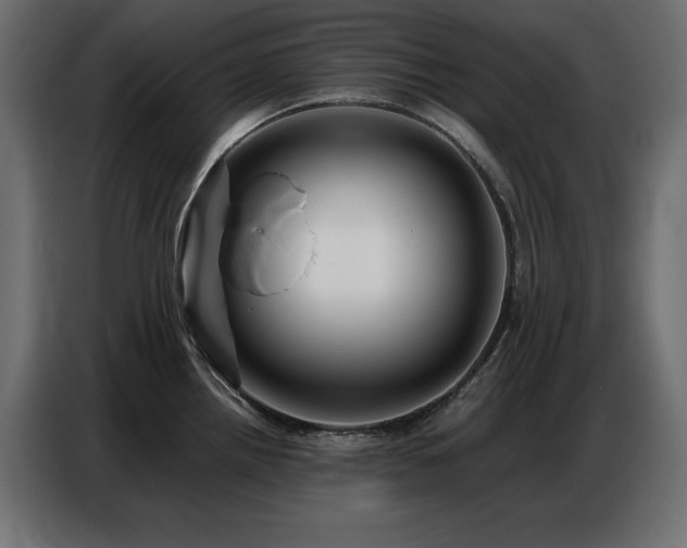 X0000086741242200704131121