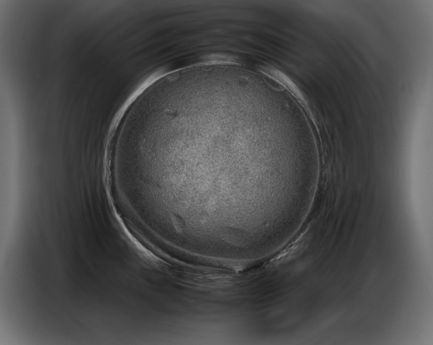 X0000086741243200704131121