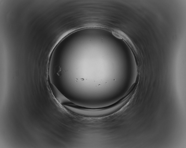 X0000086741244200704131121
