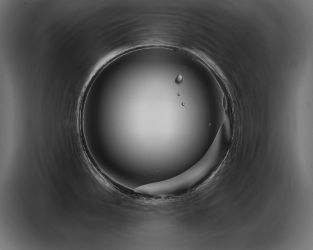 X0000086741246200704131122