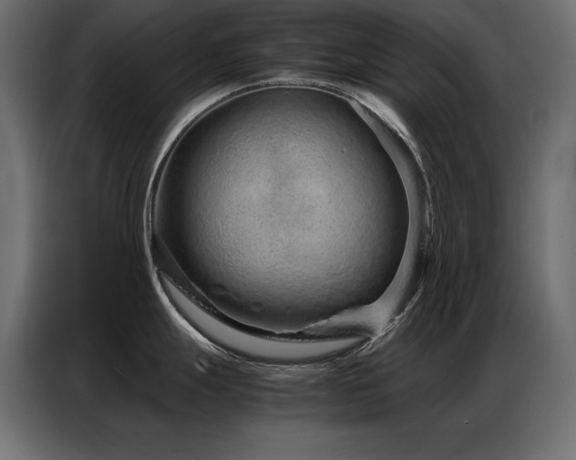X0000086741247200704131122
