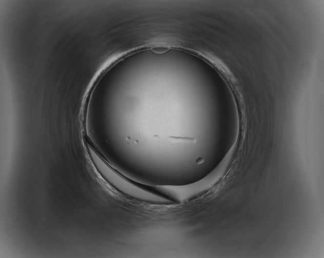 X0000086741248200704131122