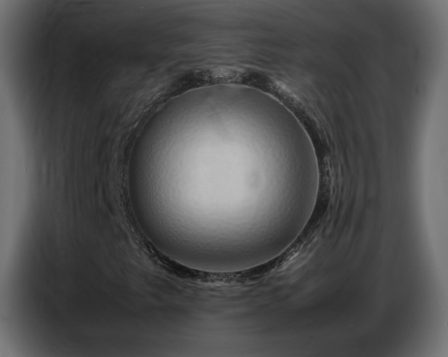 X0000086741249200704131121