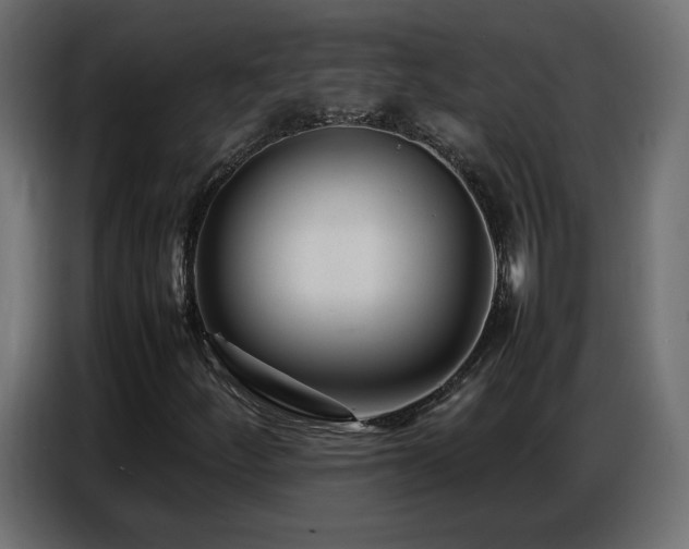 X0000086741252200704131121