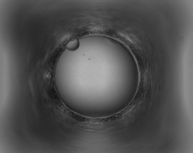 X0000086741254200704131121
