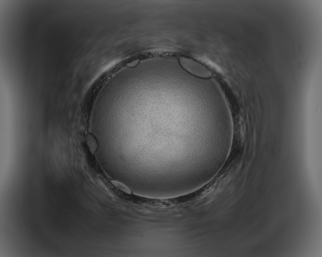 X0000086741255200704131121
