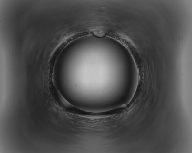 X0000086741256200704131121