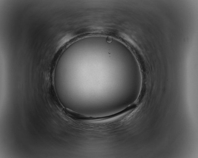 X0000086741259200704131121