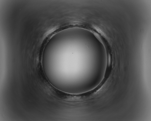 X0000086741261200704131121