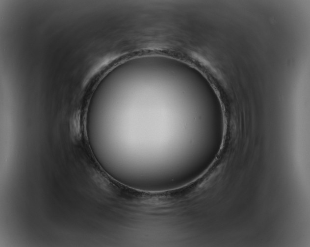 X0000086741262200704131121