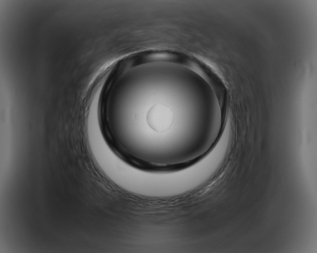 X0000086741263200704131121