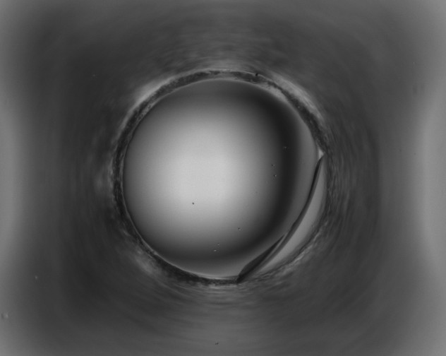 X0000086741264200704131121
