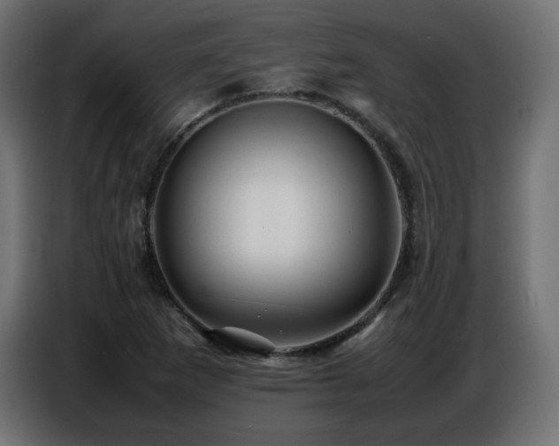 X0000086741265200704131121