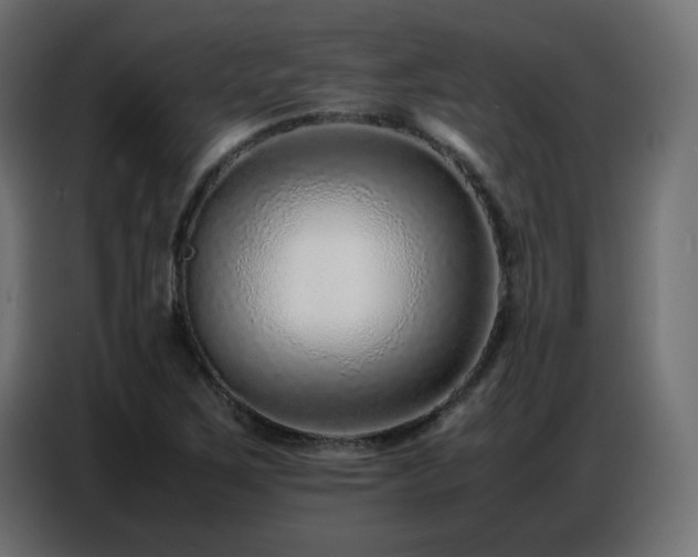 X0000086741267200704131121