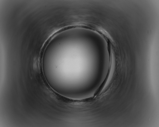 X0000086741268200704131121