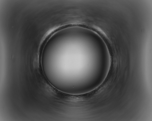 X0000086741270200704131120