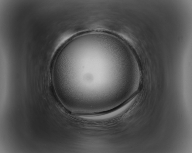X0000086741271200704131120
