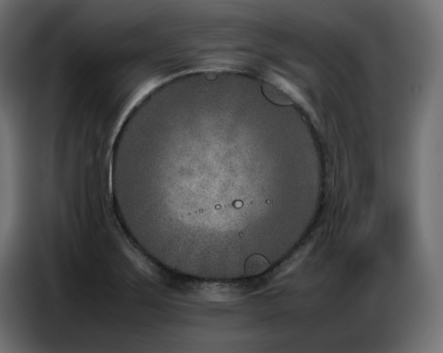X0000086741275200704131120