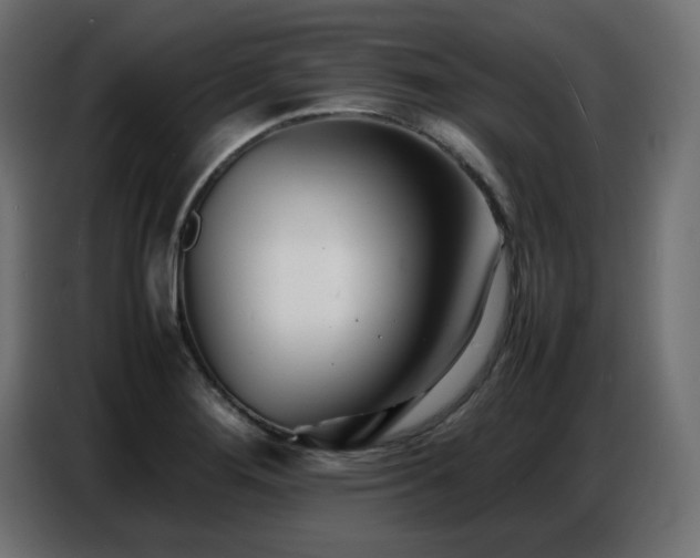 X0000086741276200704131120