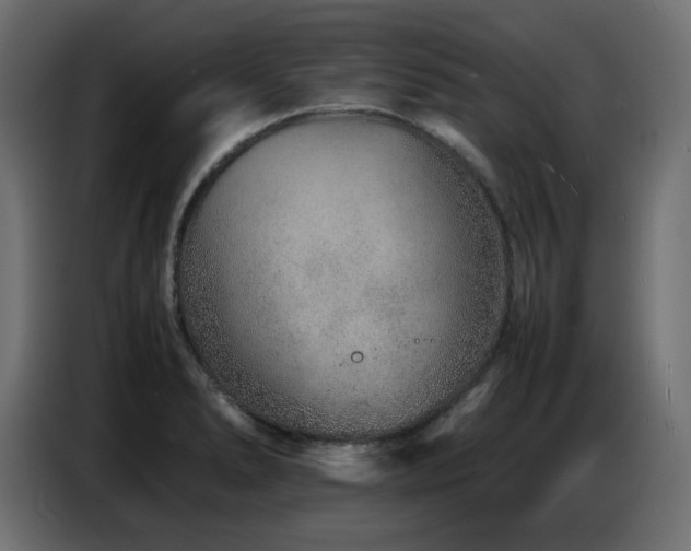 X0000086741278200704131120
