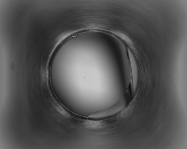 X0000086741280200704131120