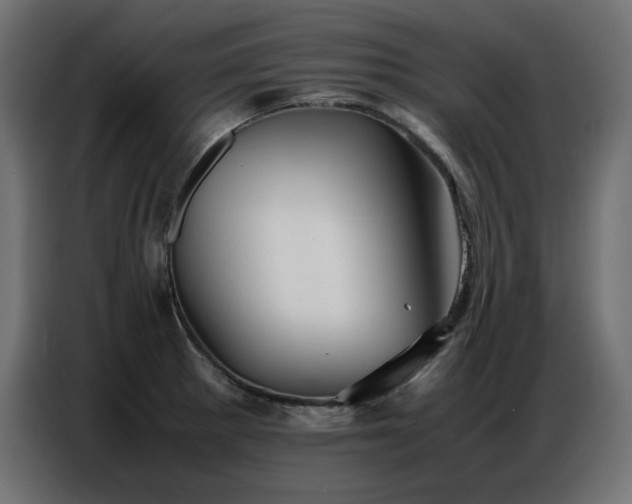 X0000086741281200704131120