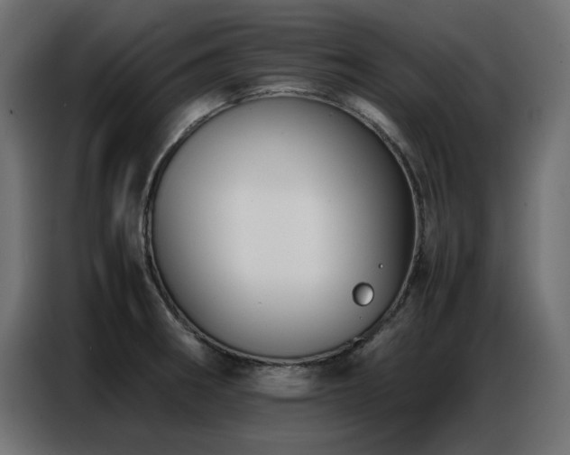 X0000086741282200704131120