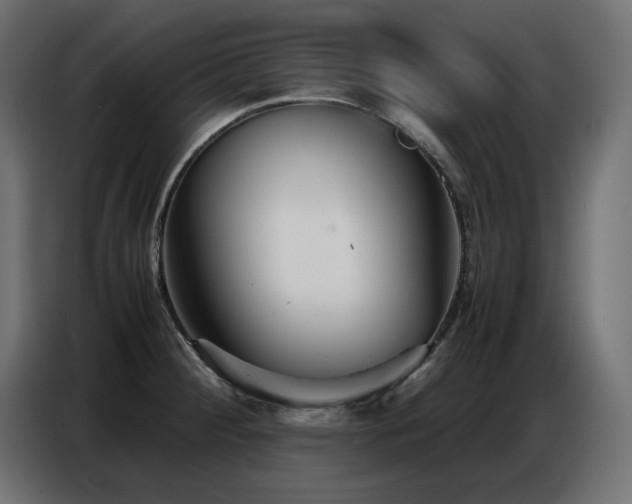 X0000086741284200704131120