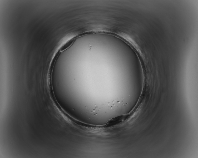 X0000086741285200704131120