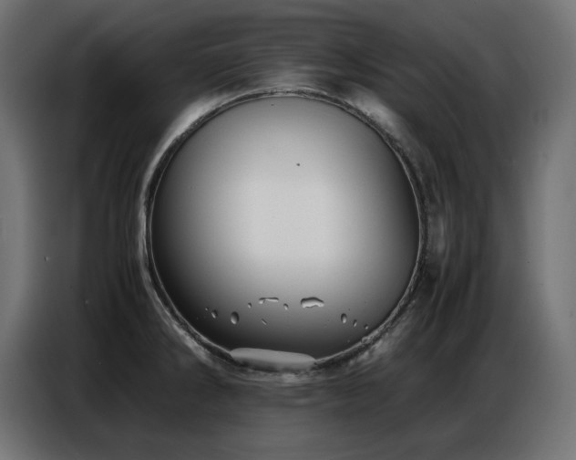 X0000086741286200704131120