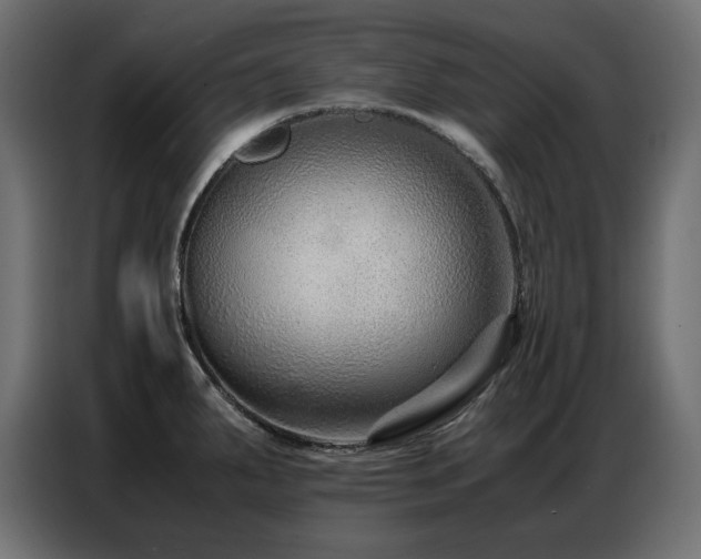 X0000086741287200704131120