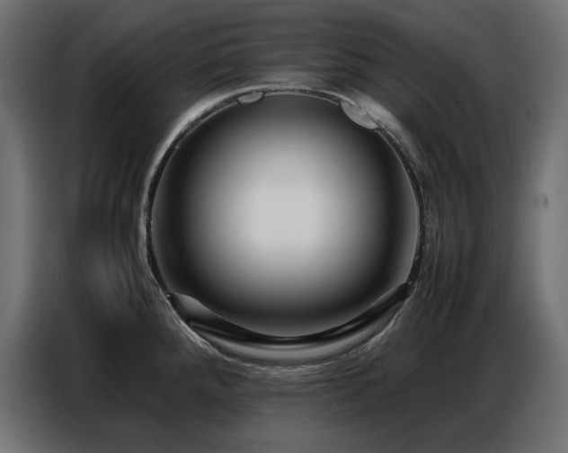 X0000086741288200704131120