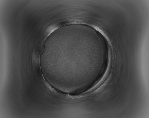 X0000086741289200704131120