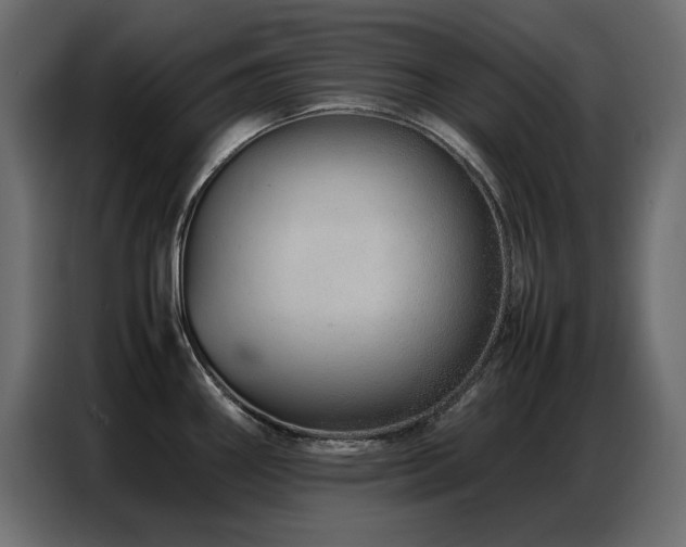 X0000086741290200704131120