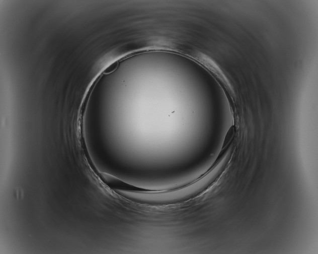 X0000086741292200704131120