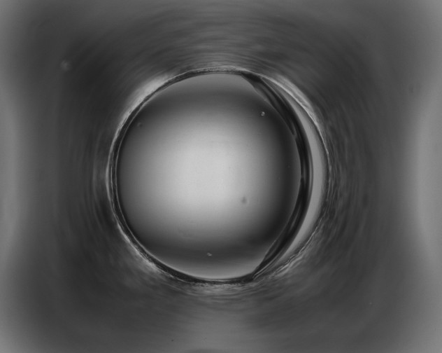 X0000086741293200704131120