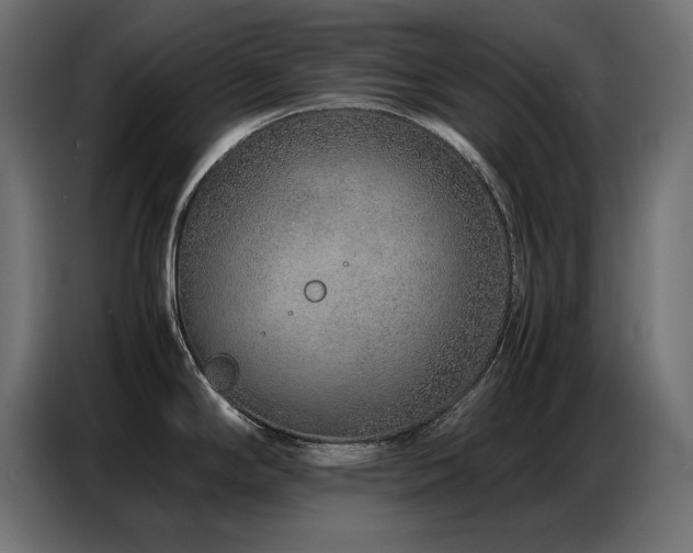 X0000086741294200704131120