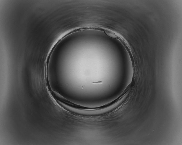 X0000086741295200704131120
