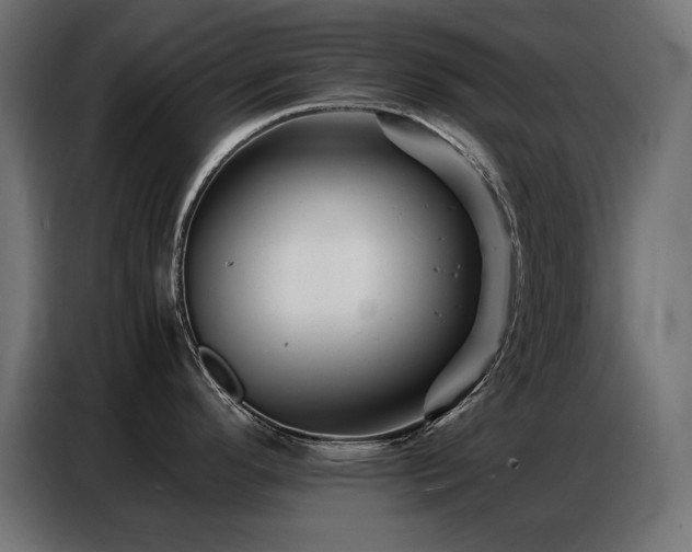X0000086741296200704131120