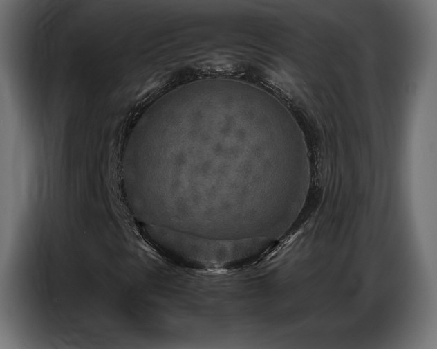 X0000086741297200704131119
