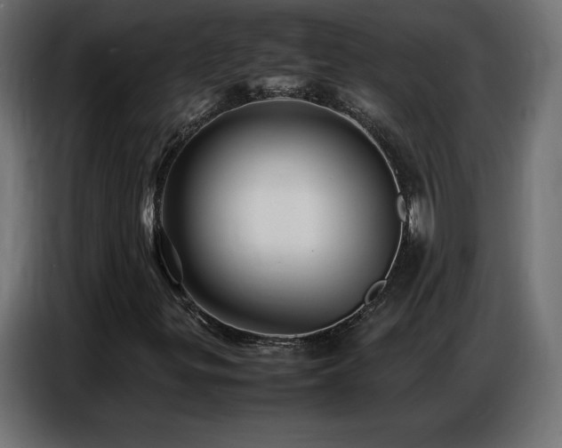 X0000086741299200704131119