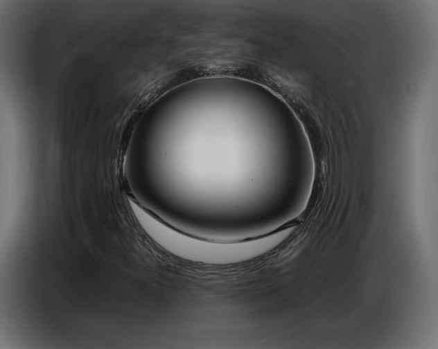 X0000086741300200704131119