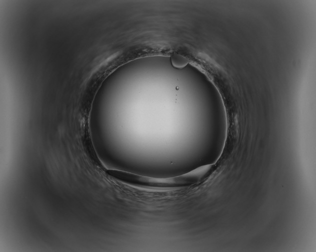 X0000086741302200704131119