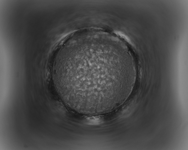 X0000086741303200704131119