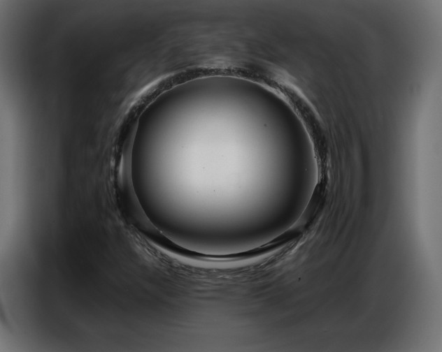 X0000086741304200704131119
