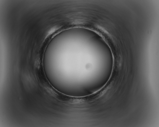 X0000086741306200704131119